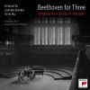 Download track Piano Trio No. 7 In B-Flat Major, Op. 97, -Archduke - III. Andante Cantabile, Ma Però Con Moto