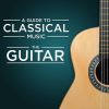 Download track Concerto No. 1 In A Major For Guitar And Orchestra, Op. 30: I. Allegro Maestoso