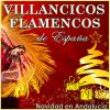 Download track La Virgen Va Caminando