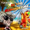 Download track In The Summertime (Northernbeat Radio Edit)
