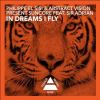 Download track In Dreams I Fly (Original Mix)