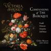 Download track Concerto Grosso No. 11 In D Minor, Op. 3: RV 565 IV. Largo E Spiccato