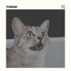 Download track My Cat Sitting By The Window