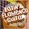 Download track Flamenco Guitar