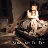 Download track Someday I'll Fly
