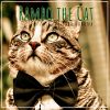 Download track Rambo The Cat (Long Version)
