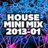 Download track House Mini Mix 2013 01 (Full Continuous Mix)