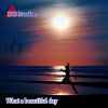 Download track What A Beautiful Day