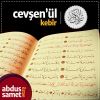 Download track Giriş