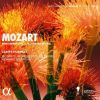 Download track 05. Mozart Piano Concerto No. 15 In B-Flat Major, K. 450 II. Andante