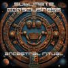 Download track Sublimate Madness