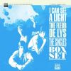 Download track I Can See A Light