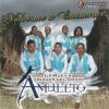 Download track El Ahualulco