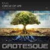 Download track Circle Of Life (Amir Hussain Remix)