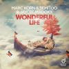 Download track Wonderful Life (Steve Modana Extended Mix)