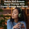 Download track Wash Away Grief And Sadness With Ocean Waves Sound Bath