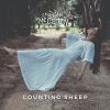 Download track Counting Sheep