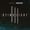 Download track Dying Light (Flite Remix)