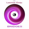 Download track Bridges (Original Mix)