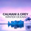 Download track Winter Ocean (LIZOT Radio Edit)