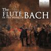Download track O Holder Tag, Erwünschte Zeit, BWV 210: VI. Aria. Schweigt, Ihr Flöten (Soprano)