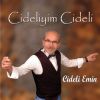 Download track Cide Çiftetellisi