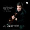 Download track Violin Partita No. 3 In E Major, BWV 1006 | VI. Gigue