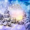 Download track Christmas Medley (Sleigh Ride / Here Comes Santa Claus / The Parade Of The Wooden Soldiers / Santa Claus Is Coming To Town / I Saw Mommy Kissing Santa Claus)