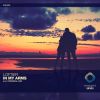 Download track In My Arms (Original Mix)