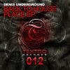 Download track Back To House Place (Original Mix)