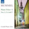 Download track Piano Trio No. 2 In F Major, Op. 22: II. Andante Con Variazioni
