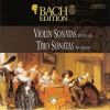 Download track Sonata In G Major For Violin & Basso Continuo BWV 1021 - I Adagio