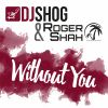 Download track Without You (Radio Mix)