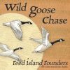 Download track Wild Goose Chase