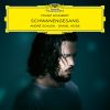 Download track Schubert: Schwanengesang, D. 957 - No. 2, Kriegers Ahnung