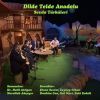 Download track Seher Yeli Nazlı Yare