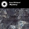 Download track Mystery (Original Mix)