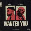 Download track Wanted You