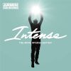 Download track Intense (Andrew Rayel Remix)