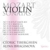 Download track Sonata For Violin & Piano No. 35 In A Major, K526 - 1. Molto Allegro