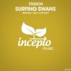 Download track Surfing Swans (Denis Neve Remix)
