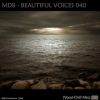 Download track Chapter One (Dns Project Chillout Reprise)