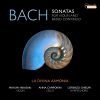 Download track Violin Sonata In F Major, BWV 1022: II. Allegro E Presto