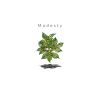 Download track Modesty