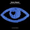 Download track Bittersweet & Blue (Above & Beyond Club Mix)