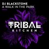 Download track A Walk In The Park (Extended Mix)