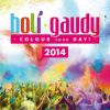 Download track Holi Gaudy 2014 Mixed By Pascal Doll (Continuous DJ Mix)