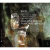 Download track 6. Sonata For Viola Da Gamba Keyboard No. 1 In G Major BWV 1027: Andante