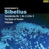 Download track Sibelius- Symphony No. 1 In E Minor, Op. 39- I. Andante, Ma Non Troppo - Allegro Energico