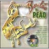 Download track Pé De Ipê